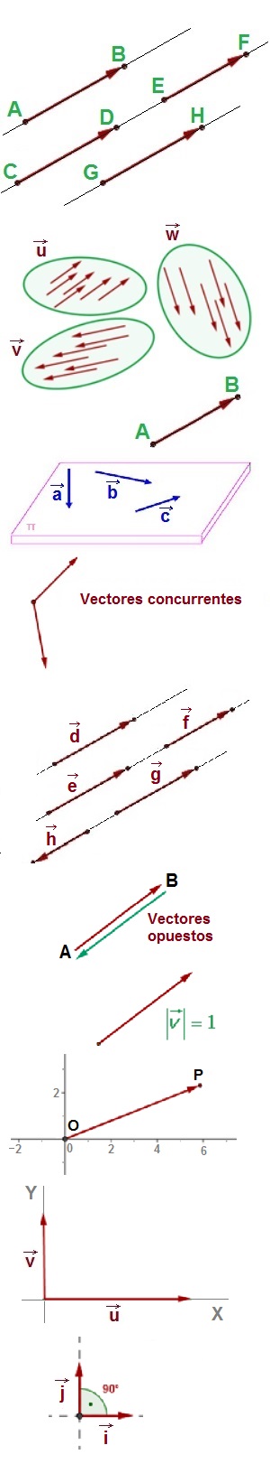 Clasificación de vectores